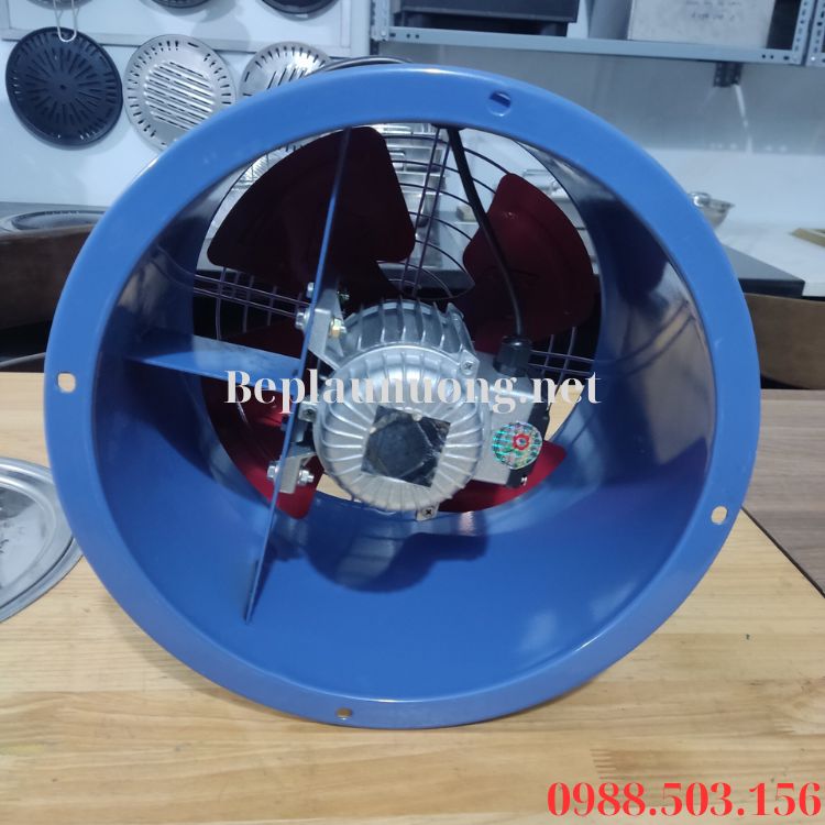 Mặt sau của quạt đồng trục D300